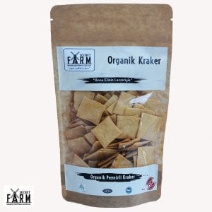 Organik Peynirli Kraker (100 gr.)